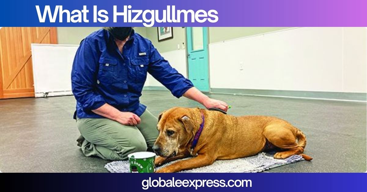 What Is Hizgullmes